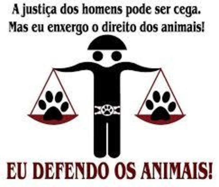 464c3fb8 dd15 419e b6f0 26f5aa2c0fb7