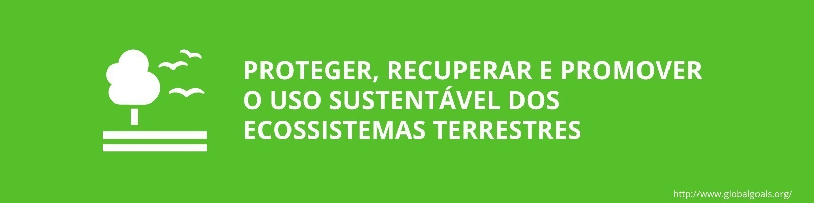0294ef4d d444 4f1c 98f0 3f5c0740736b